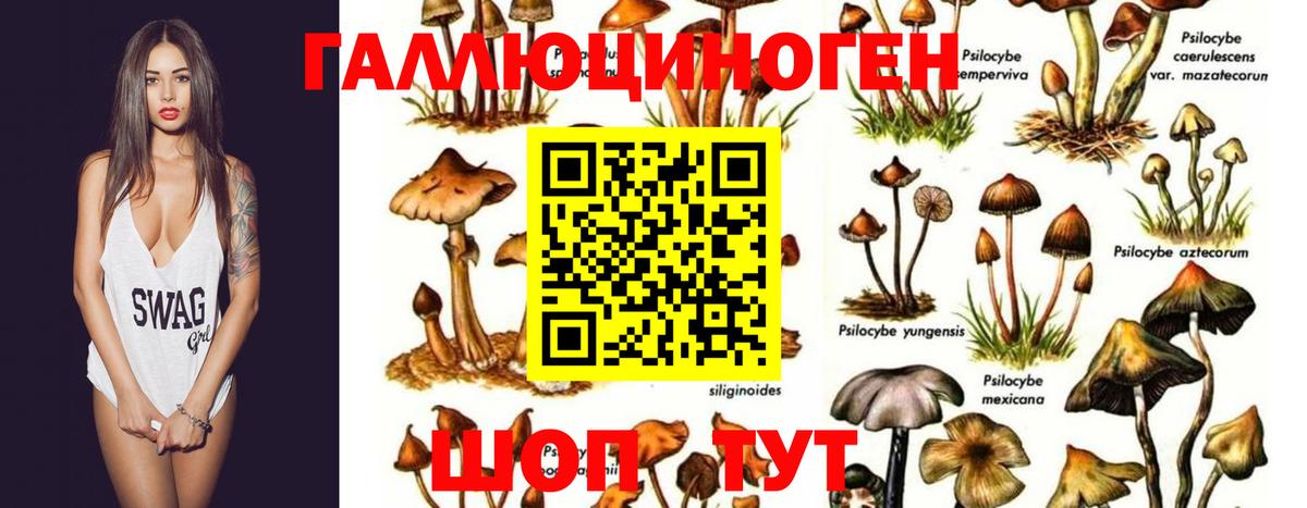Галлюциногенные грибы GOLDEN TEACHER  Вход с VPN  Ухта 